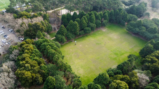 istock park city porto, green woods drone view 2196373562