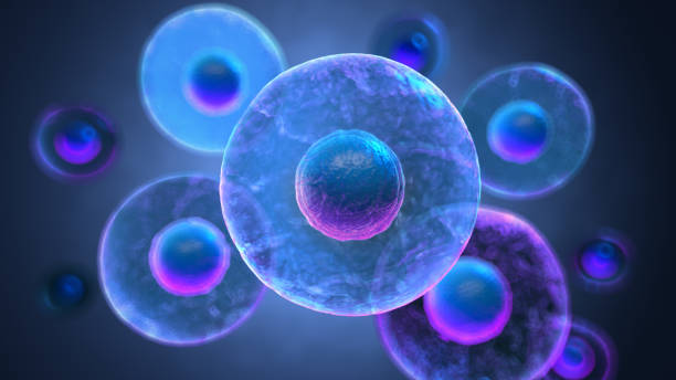 istock Stem cell membrane with nucleus are floating, Medical and science concept background, 3D rendering 2196373744