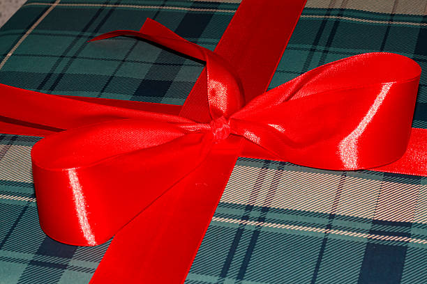 istock A gift wrapped in a green box with a red ribbon 2196374136