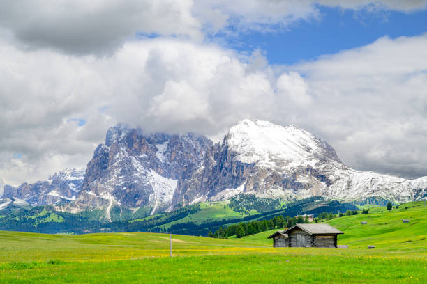 istock Seiser Alm or Alpe di Siusi panorama in the Dolomites during springtime 2196383376