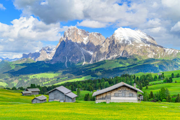 istock Seiser Alm or Alpe di Siusi panorama in the Dolomites during springtime 2196383454