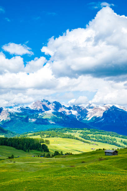 istock Seiser Alm or Alpe di Siusi panorama in the Dolomites during springtime 2196384096
