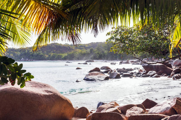 istock Anse Lazio beach on a sunny day. Praslin island, Seychelles 2196387420