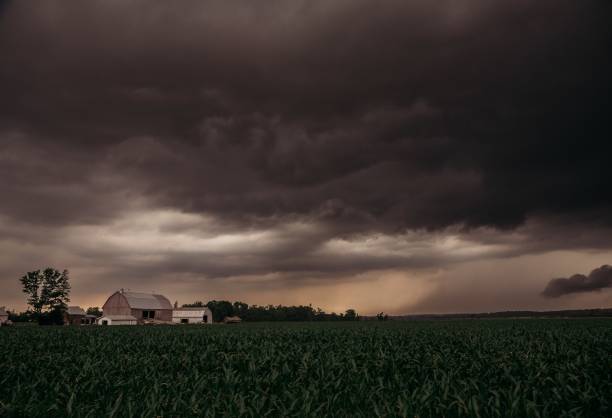 istock Whispers of the Storm 2196388740