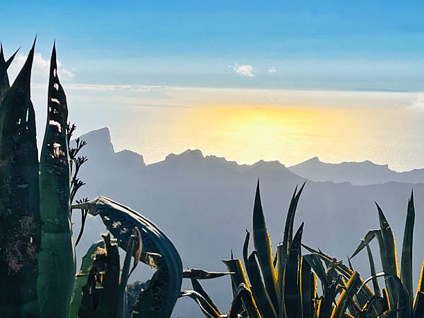 istock Sunset over the sea, Canary Islands, Tenerife 2196391596