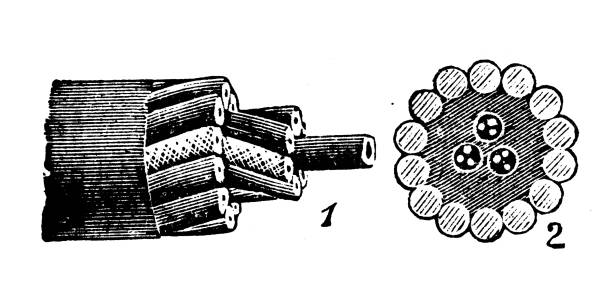 Antique illustration (1898): Electric Cable