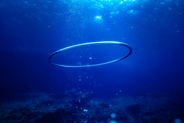 Fantastic and dynamic underwater schools of fish dancing in the blue sea