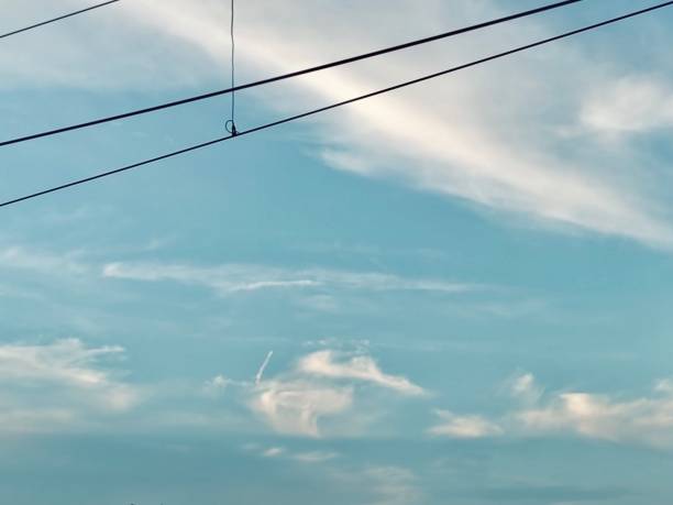 Two sets of power lines stretch across the horizon frame disappearing into the distance capturing the ethereal beauty of the scene, the tranquil essence of quiet nature and infrastructure landscape.