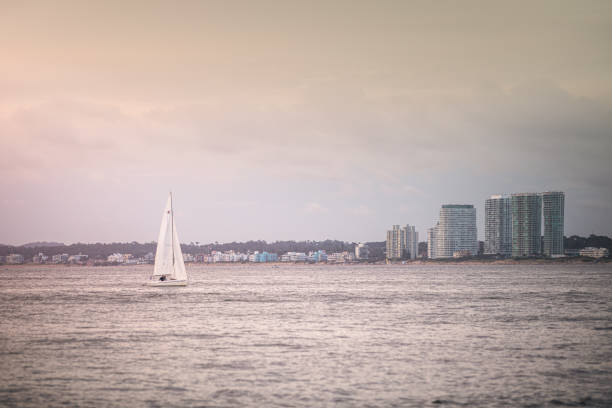 A tranquil scene of a sailboat gliding through Punta del Este Bay, with the city's skyline gracefully set in the background.