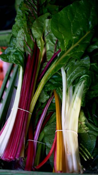 istock lettuce leaves and beetroot leaves are in a plastic box on the counter 2196403047