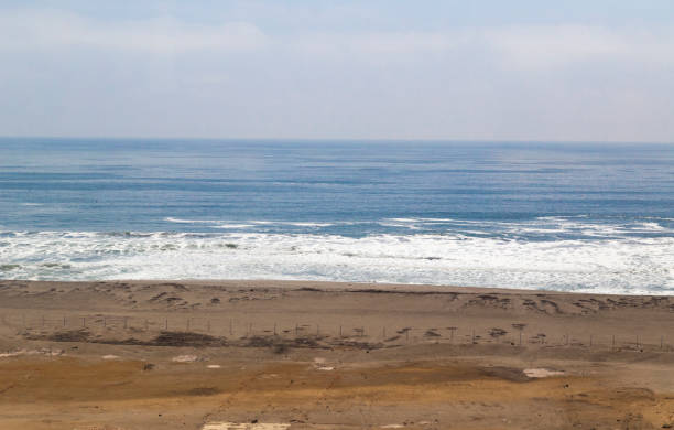 istock Ocean waves crashing on the shore in huacachina, peru 2196403864