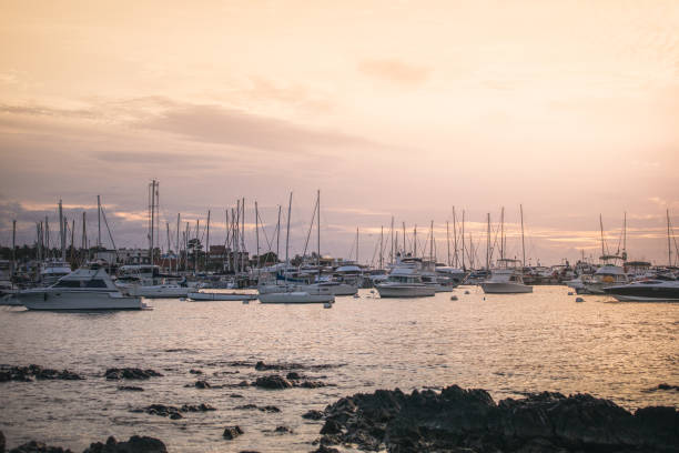 Panama City marina on Pacific shore with luxury yachts and boats against a backdrop of modern skyline.