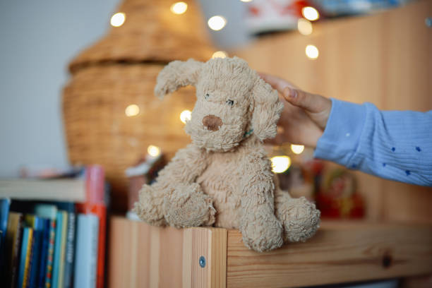 adorable brown stuffed dog - ของเล่นสุนัข ของเล่นยัดไส้ ภาพสต็อก ภาพถ่ายและรูปภาพปลอดค่าลิขสิทธิ์