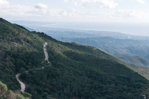 A winding mountain road surrounded by lush greenery and hills, offering a breathtaking view of the coastline in the distance.