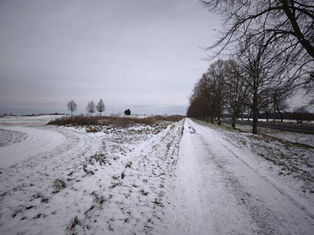 istock Serene snowy path lined with bare trees in the Prague countryside, showcasing a tranquil winter landscape under a cloudy sky Golf Vinor 2196410780
