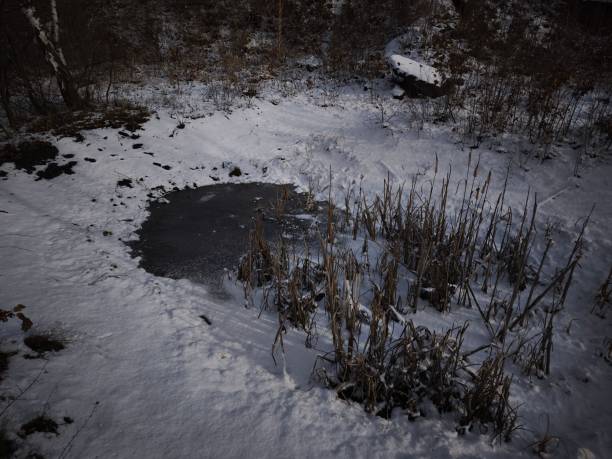 istock Frozen pond glazed with thin ice, dry reeds framing wintry landscape near prague's urban edge Nature Reserve Cihelna v Bazantnici, protected area, Hloubetin 2196410912