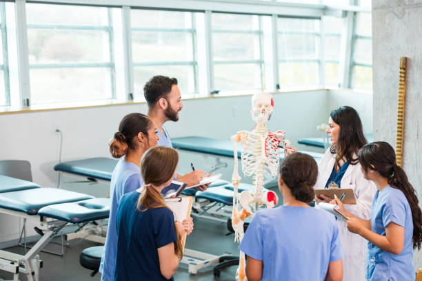 istock Diverse Medical Students Studying Anatomy with Professor 2196411266