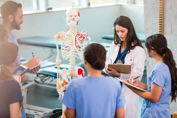 istock Medical Students Studying Human Anatomy with Professor 2196411269