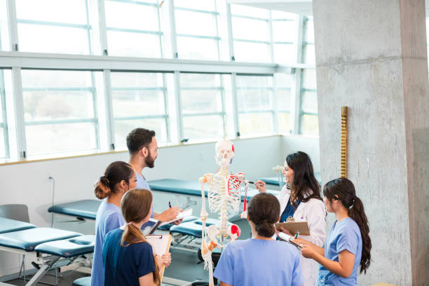 istock Medical Students Studying Anatomy with Professor 2196411272
