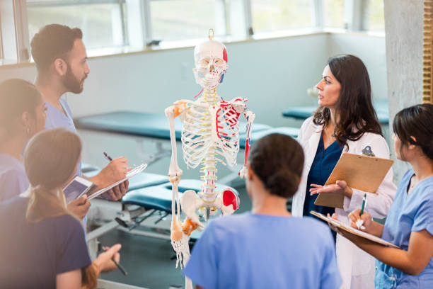 istock Medical Students Studying Human Anatomy with Professor 2196411276