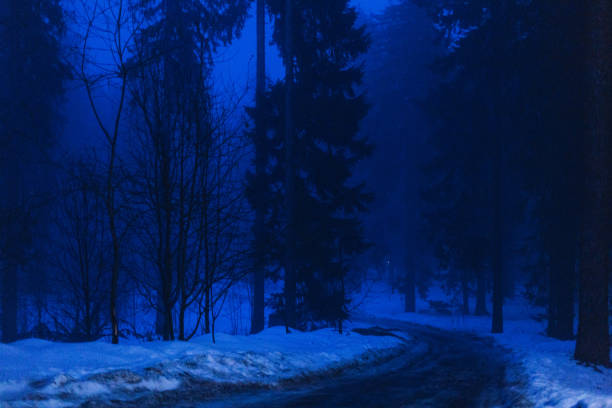 Steep slippery Country road through the tall pine forest in a foggy and snowy mountain at twilight.