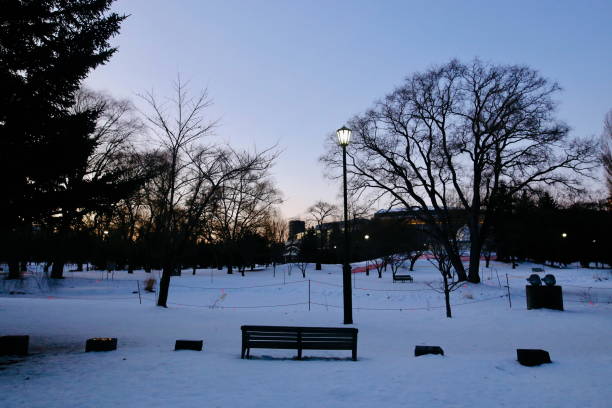 An early morning view of an empty bench in a park during winter.