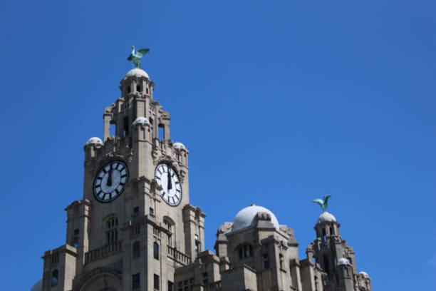 istock Birds at the helm of Liverpool 2196415780