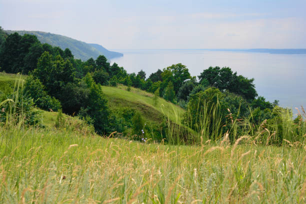 istock Serene Lakeside Hilltop with green trees and grassy hills 2196418310