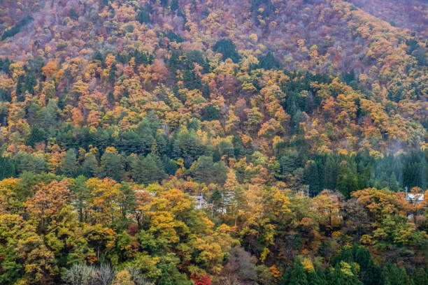 istock A stunning landscape showcasing vibrant autumn foliage in a serene mountain setting, blending warm colors of nature's beauty. 2196418454