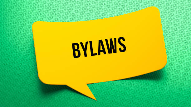 istock Bylaws text message on the 3D curve speech bubble. Dotted and green background. 2196419416