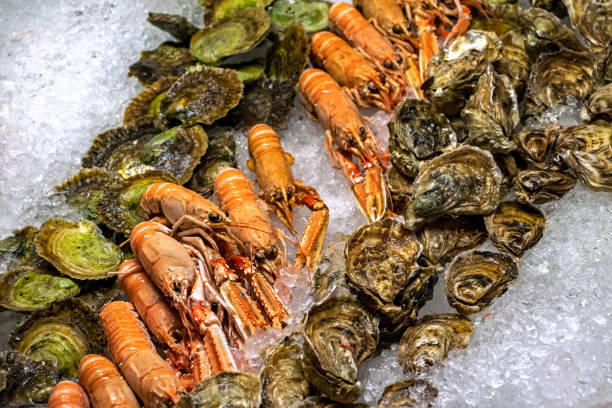 Close view of scampi and oysters on ice