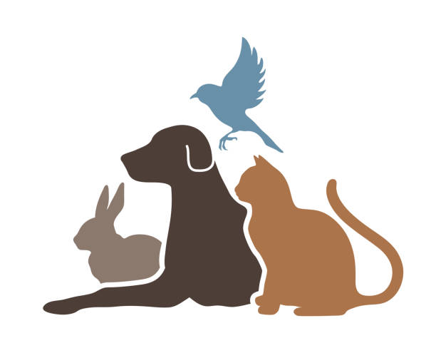 ilustrações de stock, clip art, desenhos animados e ícones de pets shop logo vector symbol illustration - acariciar