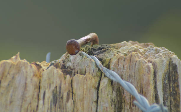 istock crooked nail holding a barbed wire 2196424706
