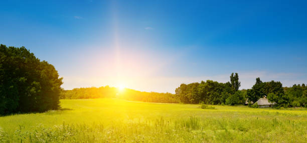 istock Beautiful bright sunrise over large summer pasture with grasses. 2196425213