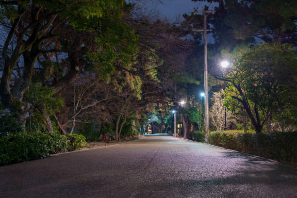 istock Quiet Suburban Street at Night 2196425302