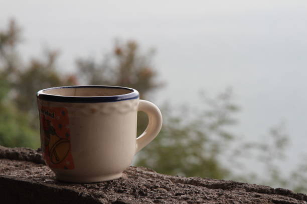 istock Talavera cup on a cloudy day. Mexican craftsmanship. 2196431067