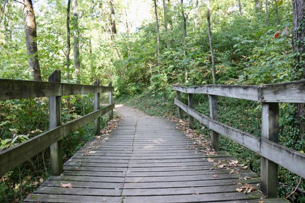 istock Footbridge in the Woods 2196431736