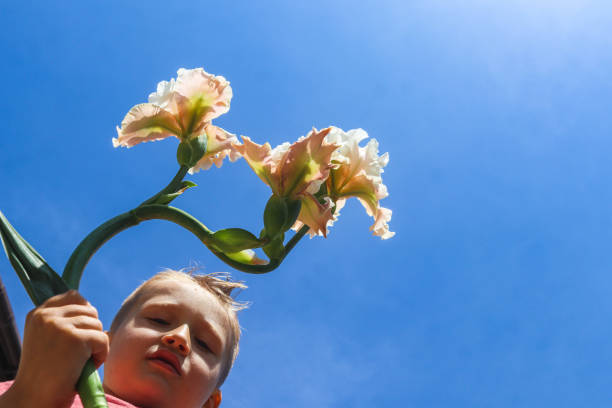 woman with white flowers in her hand is resting in the field and trees In the background. High quality photo