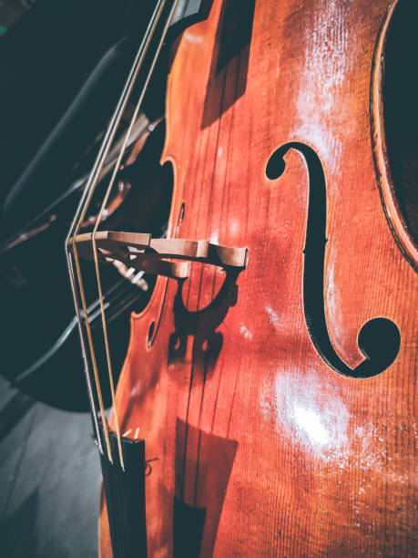 Close-up of a cello's intricate details with F holes Close-up view of a cello, string musical instrument, focusing on the body of the instrument. The photo highlights the f-holes, bridge, and strings of the cello, showcasing the intricate craftsmanship and detail. The wood grain and varnish are clearly visible, emphasizing the rich color and texture of the cello. The warm lighting in the image creates a glow on the cello's surface, enhancing its natural beauty and elegance. violin f hole stock pictures, royalty-free photos & images