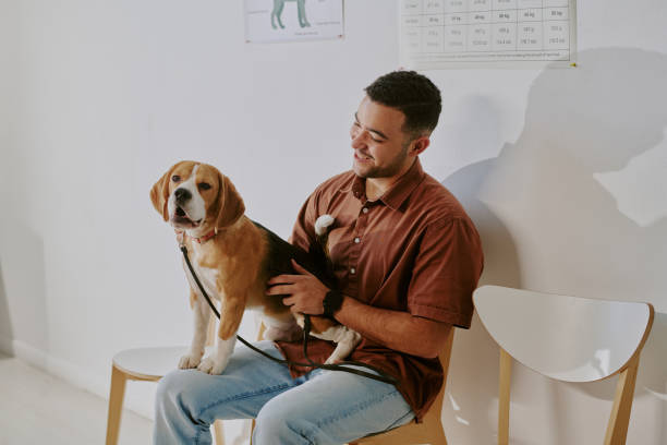 istock Portrait of Man Smiling While Holding a Beagle 2196434680