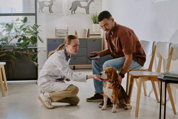 istock Veterinarian Examining Dog While Owner Watches Attentively 2196434820