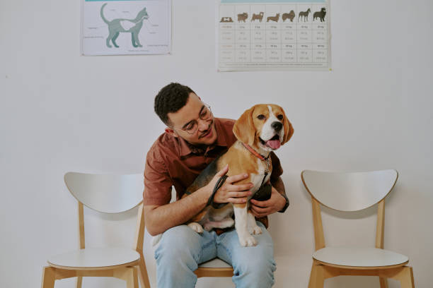 istock Smiling Man Sitting with a Beagle Dog on His Lap 2196435593