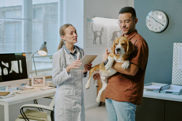 istock Visiting Veterinary Clinic for Dog's Health Checkup 2196435646