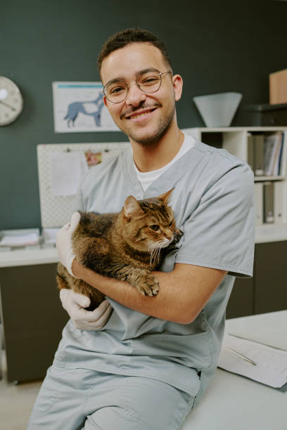 istock Smiling Veterinarian Holding a Cat in Veterinary Clinic 2196437625