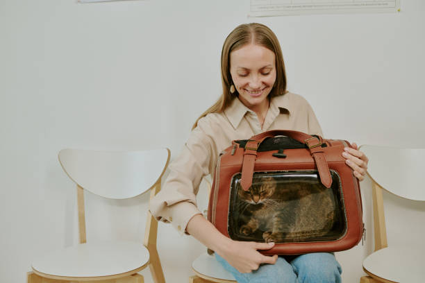 istock Smiling Woman Holding Cat Carrier in Veterinary Office 2196438256