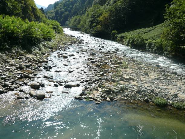 istock Forest riverside. Stones on the river bank. 2196438373