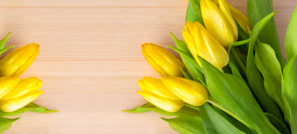 Yellow tulips on a wooden table, spring background
