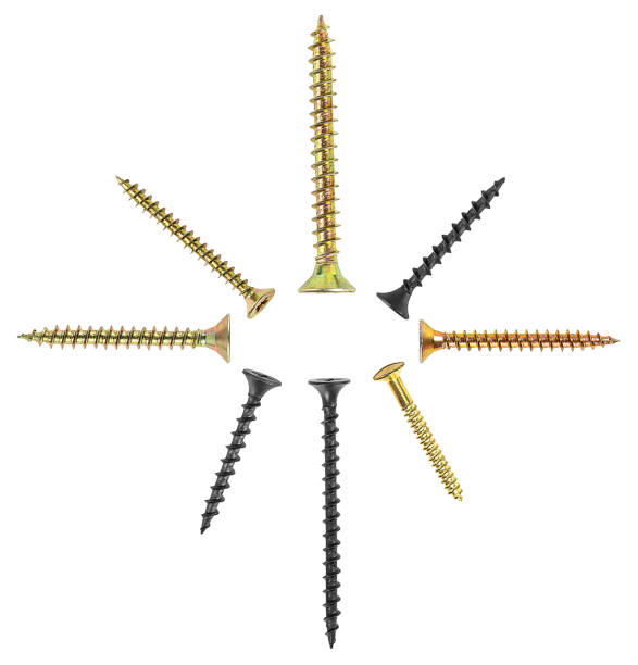 Group of different screws isolated on a white background, top view. Self-tapping screws.