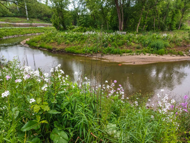 istock Small creek at rainy day 2196442336