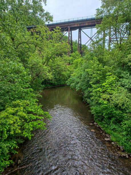 istock Small creek at rainy day 2196442342